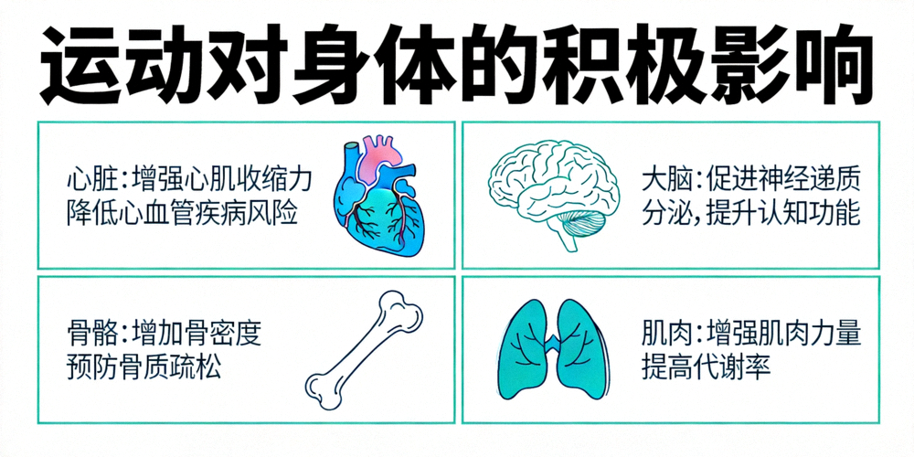 运动科学信息图，展示运动对心脏、大脑、骨骼、肌肉的积极影响示意图
