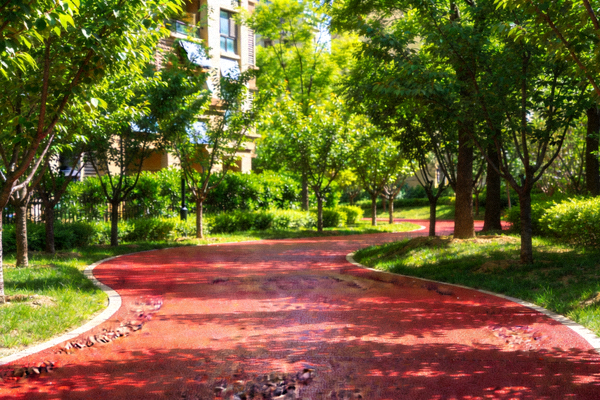 环绕社区的红色塑胶健步道，两旁绿树成荫